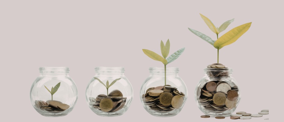 jars with coins and plants
